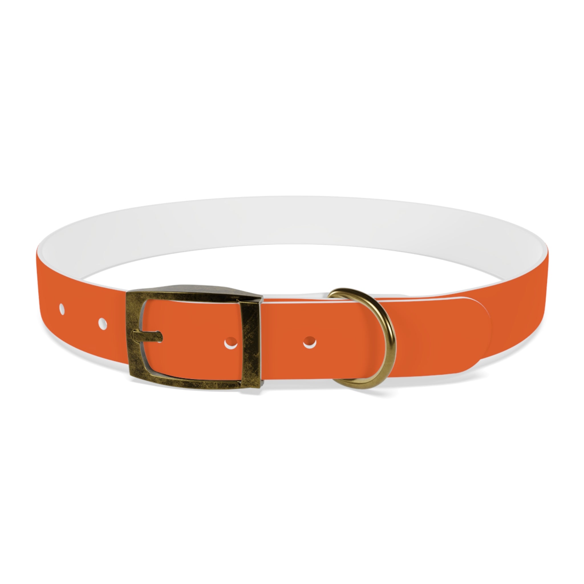 Orange Leather Dog Collar — Texas Livestock Logo