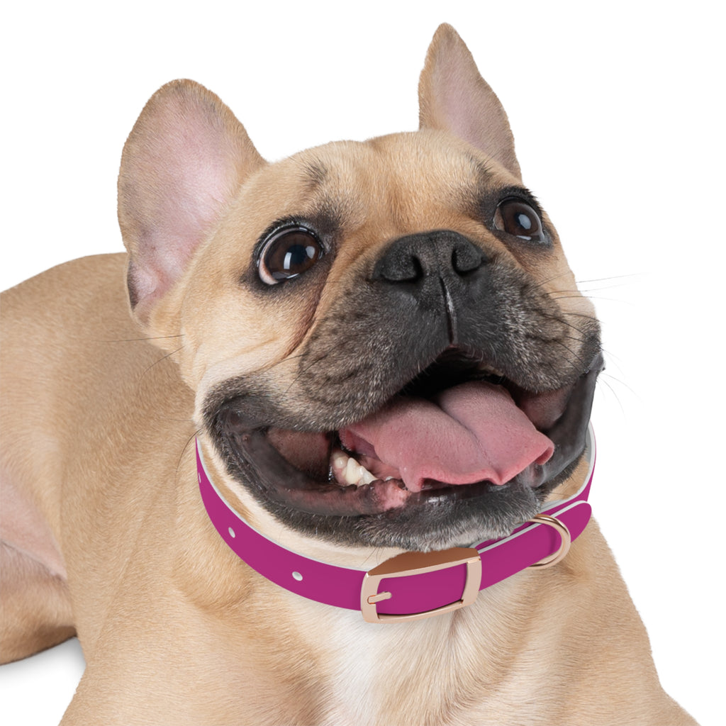 Pink Leather Dog Collar — Texas Livestock Show Logo
