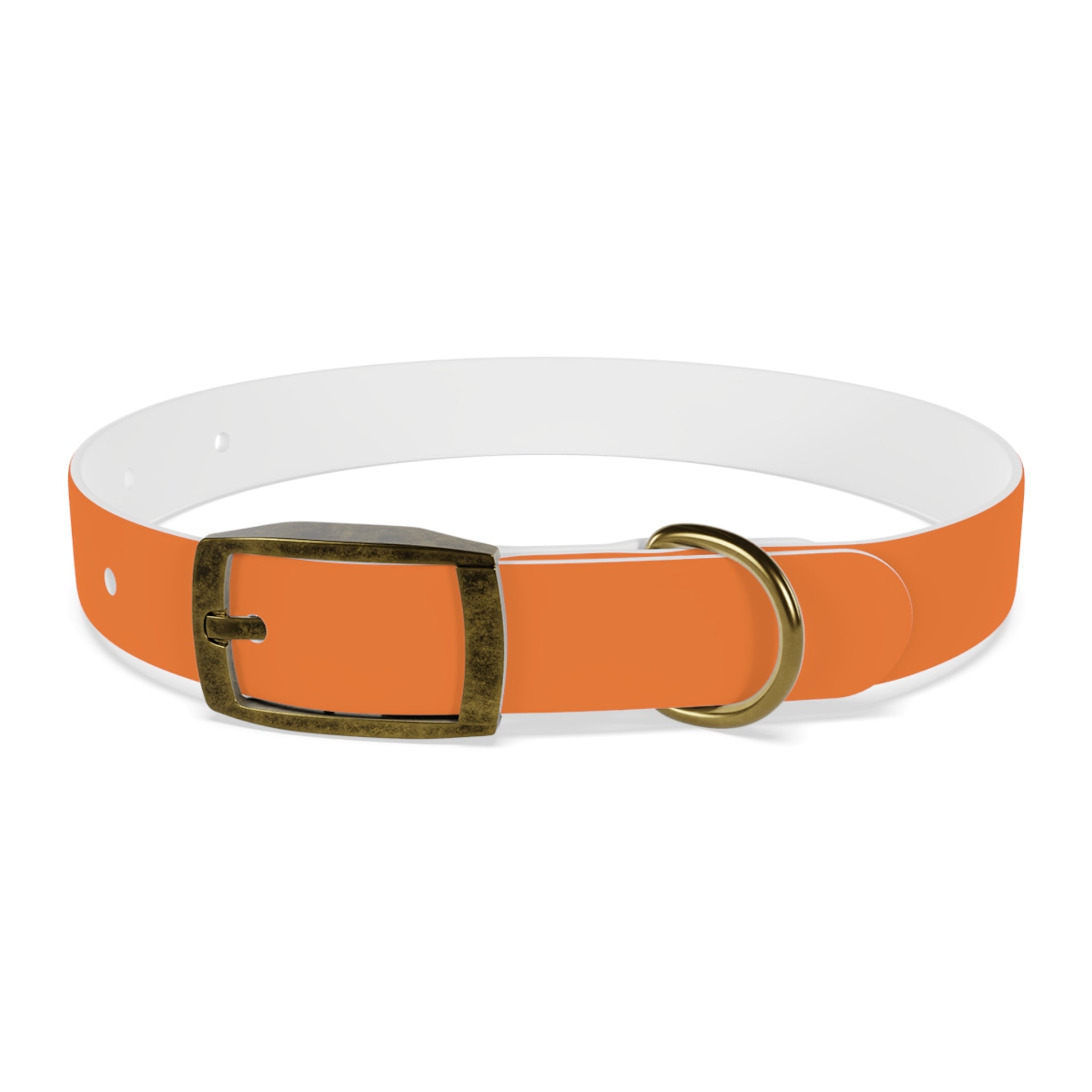 Orange Logo Dog Collar — Texas Livestock Club Pet Collar