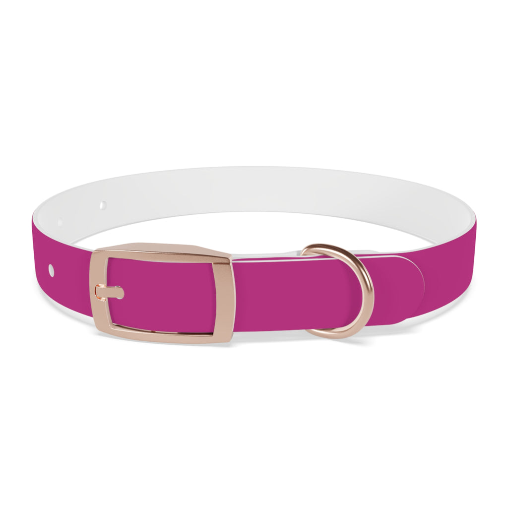 Pink Leather Dog Collar — Texas Livestock Show Logo