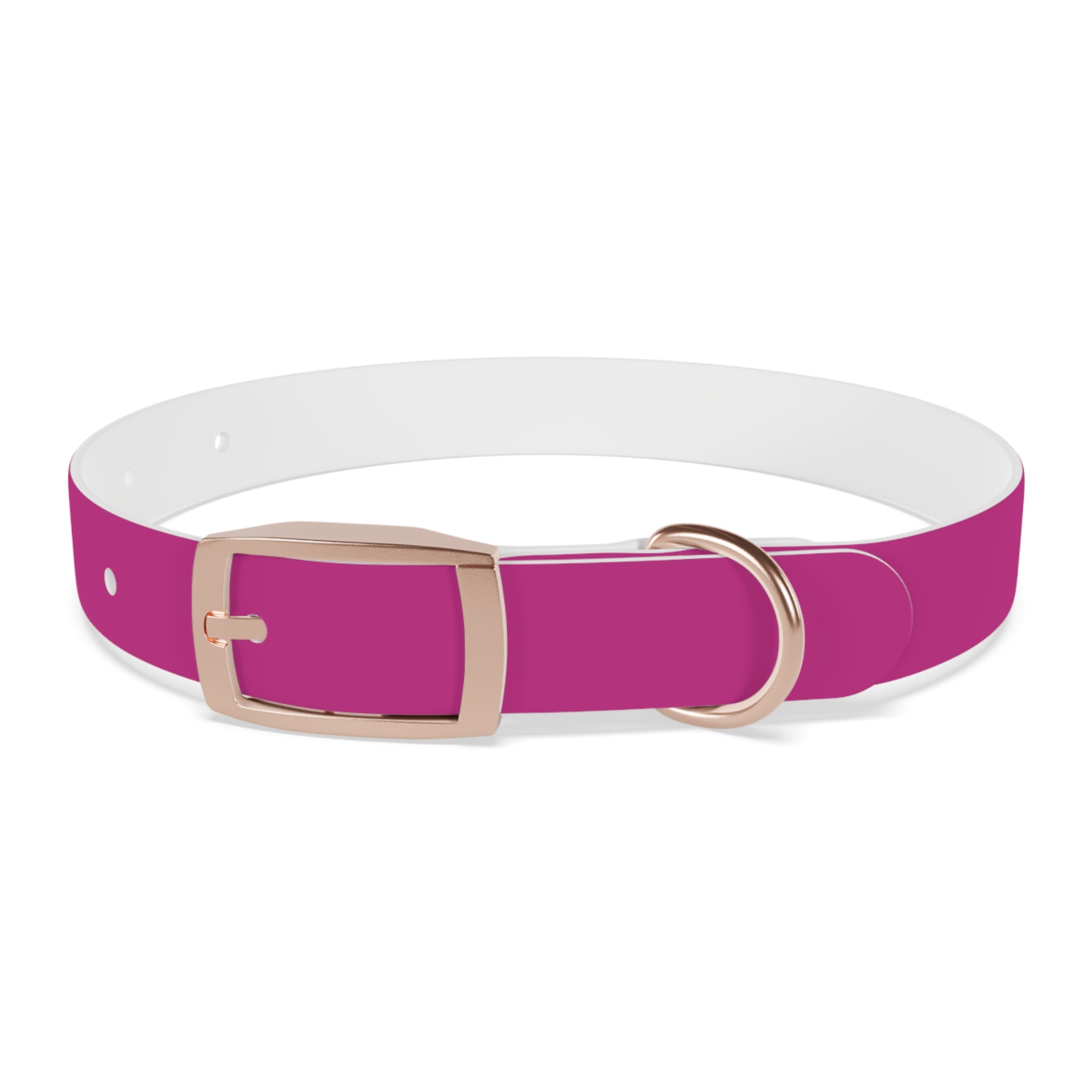 Pink Leather Dog Collar — Texas Livestock Show Logo