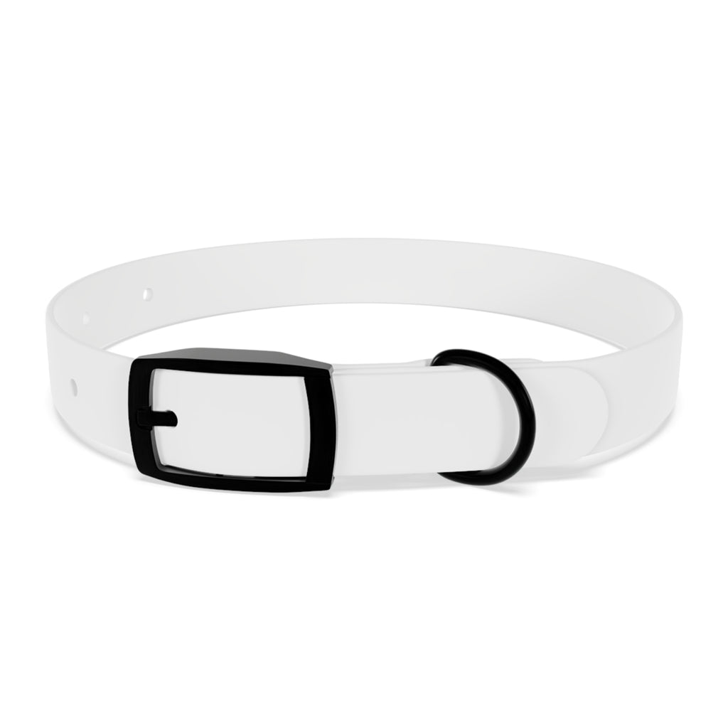 Custom Printed Dog Collar — Texas Livestock Association Logo