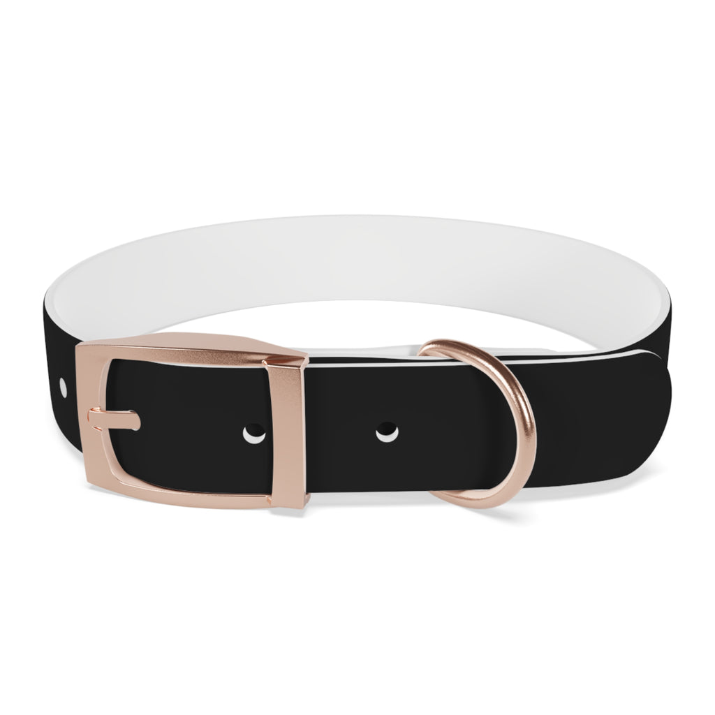 Black Leather Dog Collar — Durable Everyday Collar with Metal Buckle