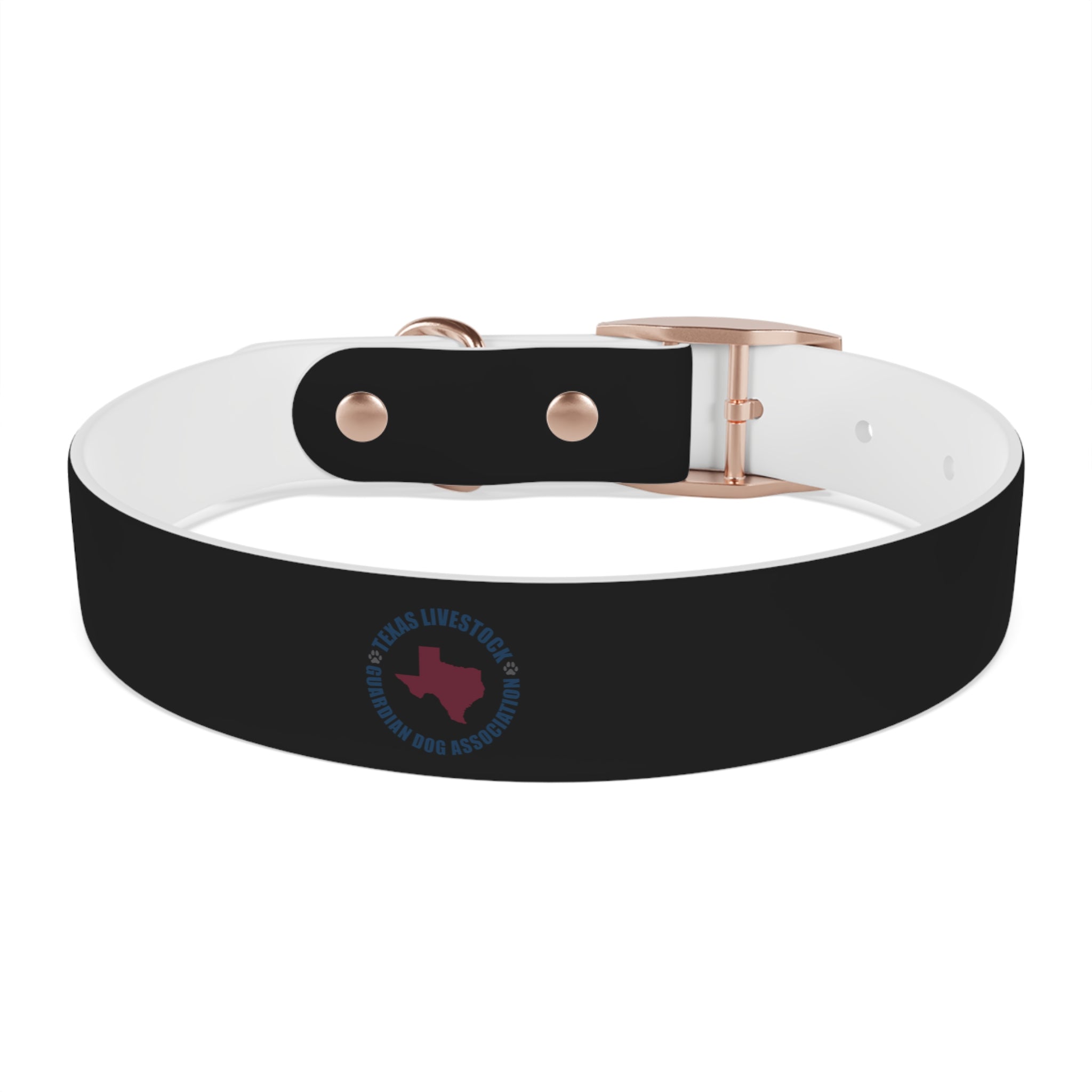 Black Leather Dog Collar — Durable Everyday Collar with Metal Buckle