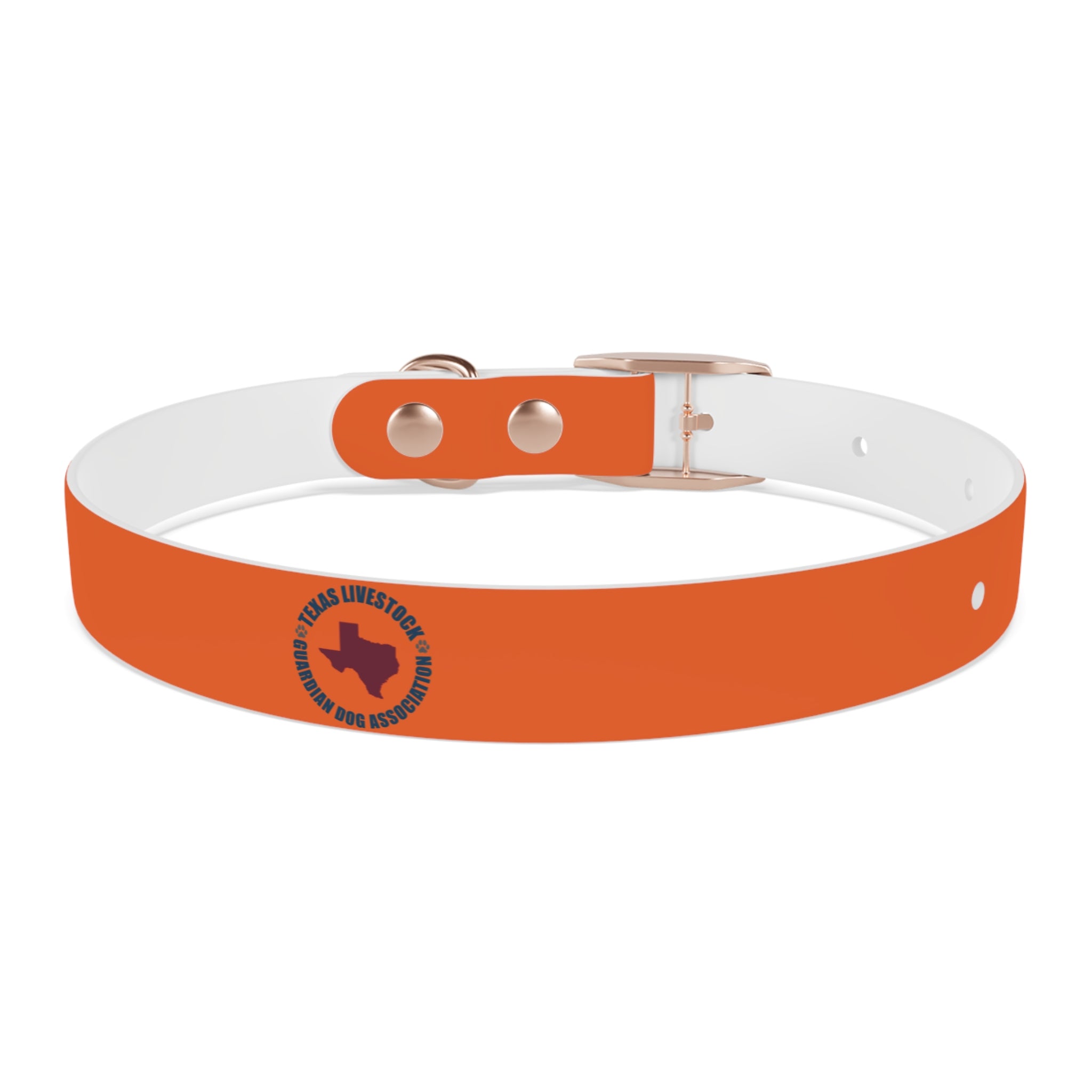 Orange Leather Dog Collar — Texas Livestock Logo
