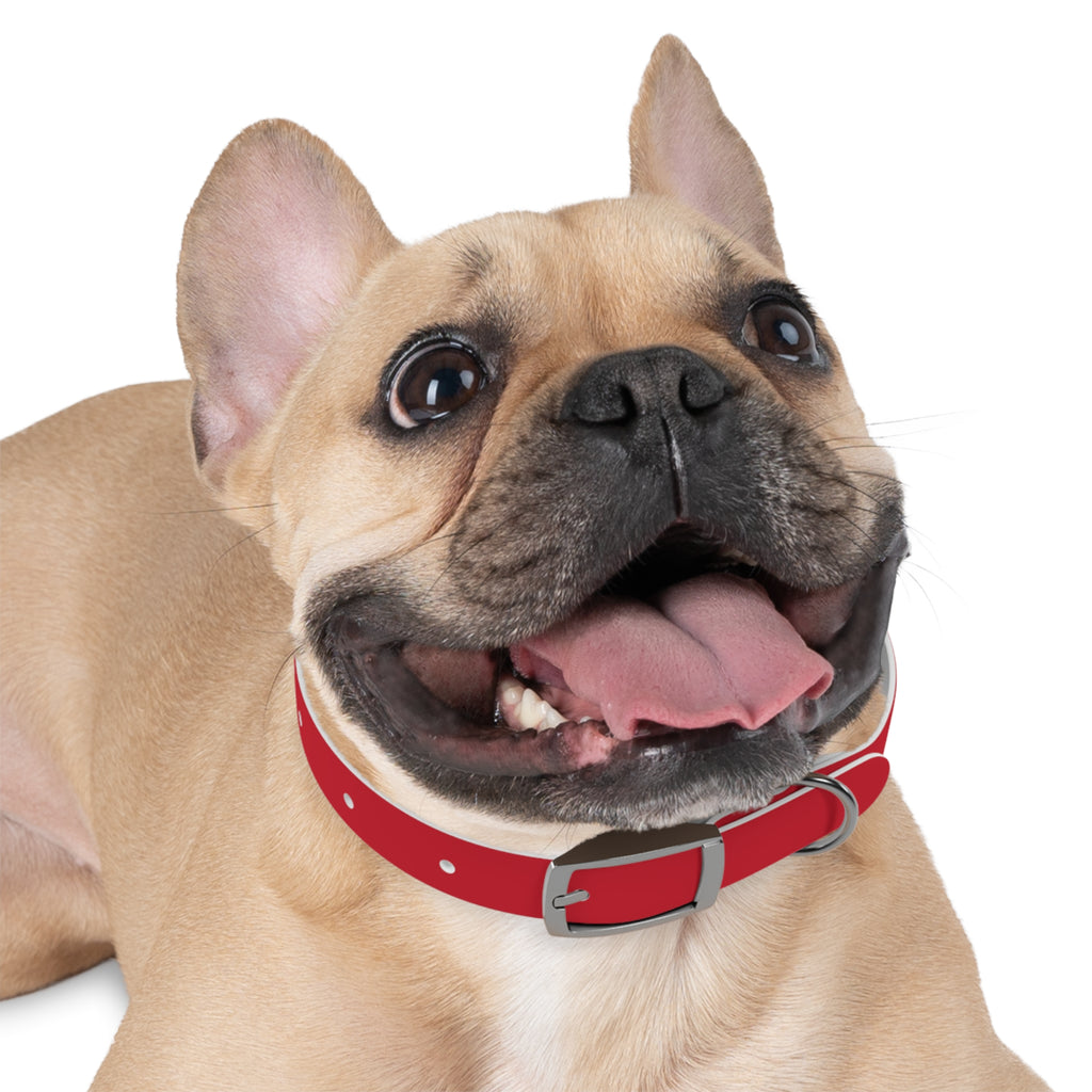 Red Pet Collar with Texas Logo — Durable Adjustable Dog Collar