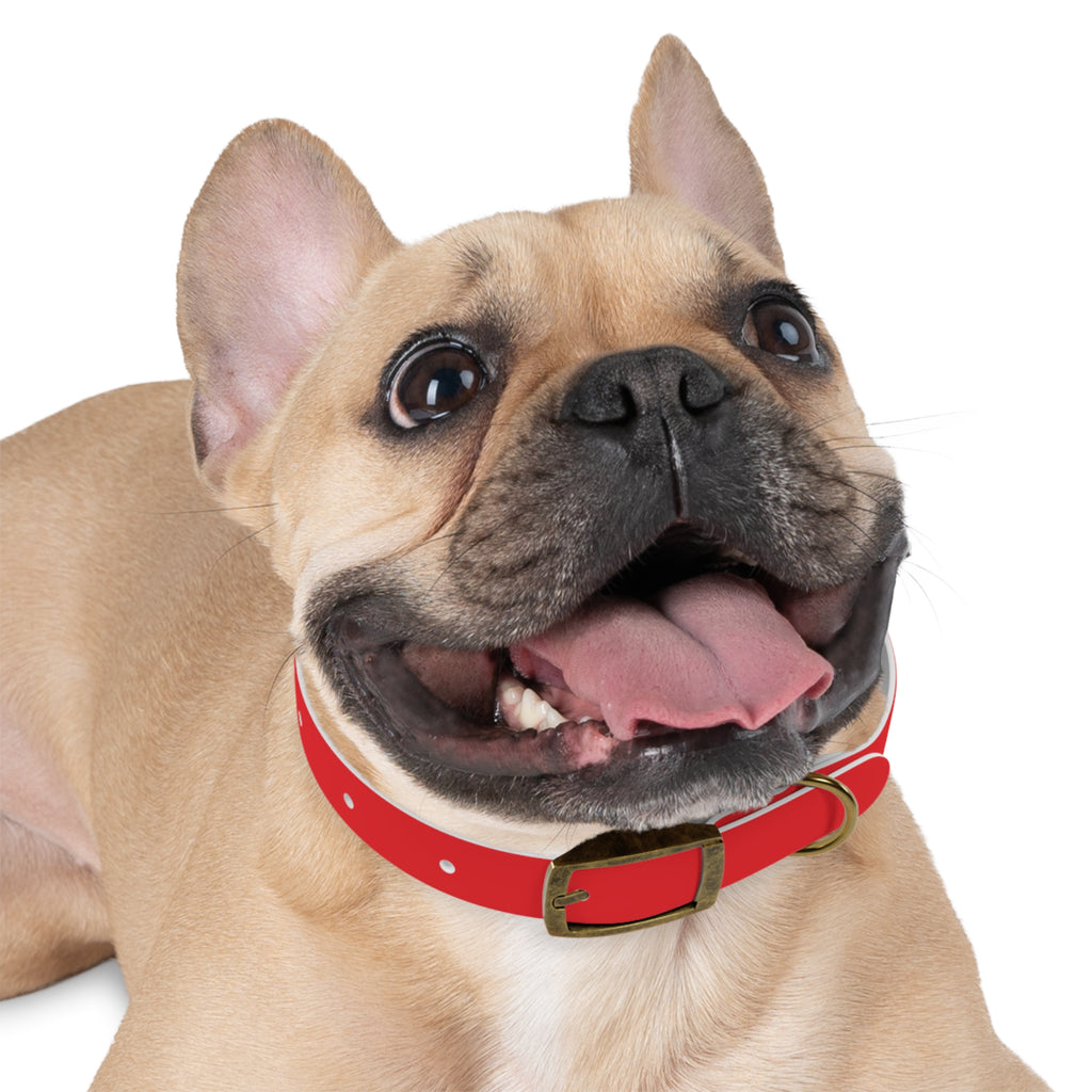 Red Personalized Dog Collar with Texas Logo — Durable Adjustable Pet Collar
