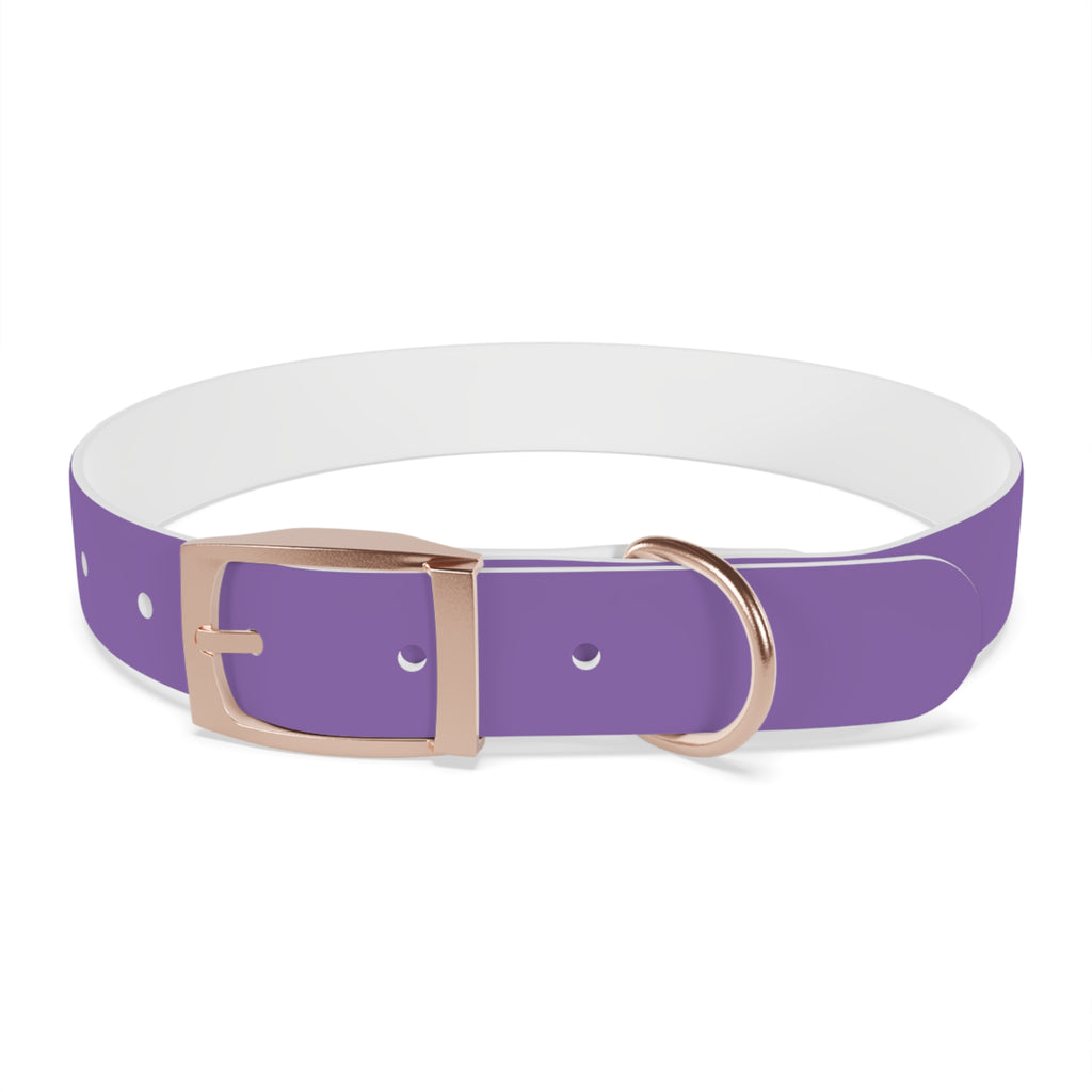 Purple Custom Dog Collar with Texas Livestock Logo — Durable Adjustable Pet Collar