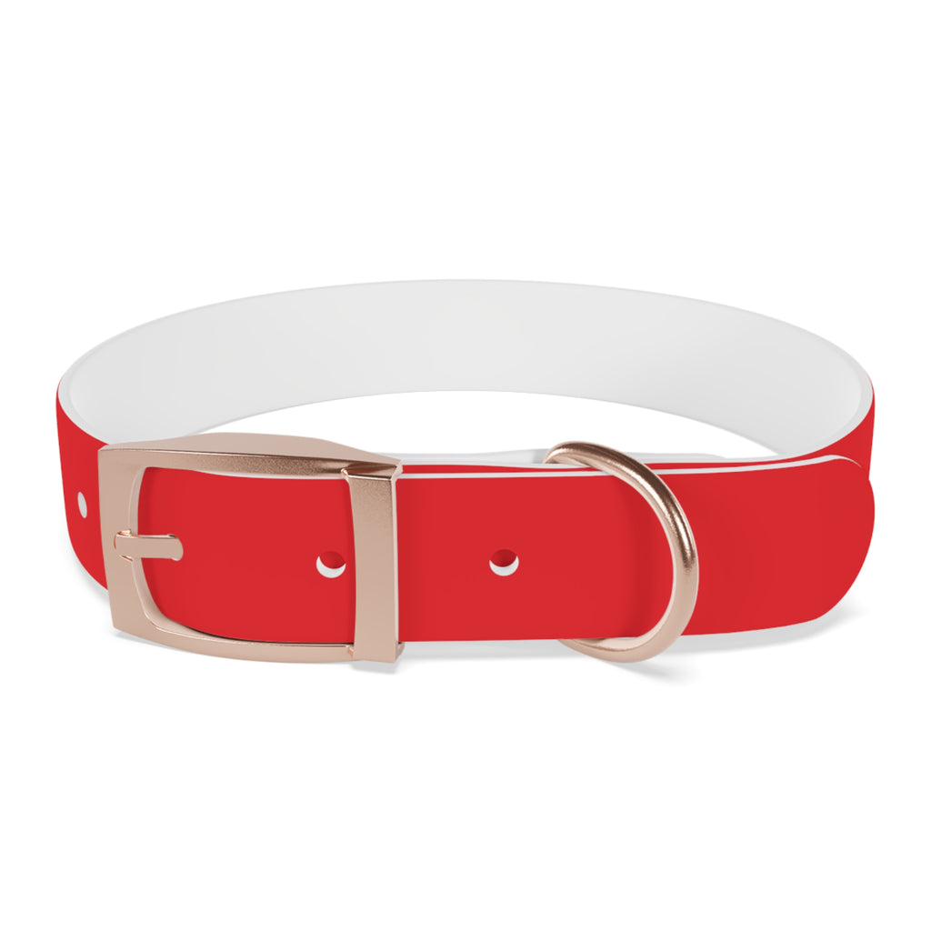 Red Personalized Dog Collar with Texas Logo — Durable Adjustable Pet Collar