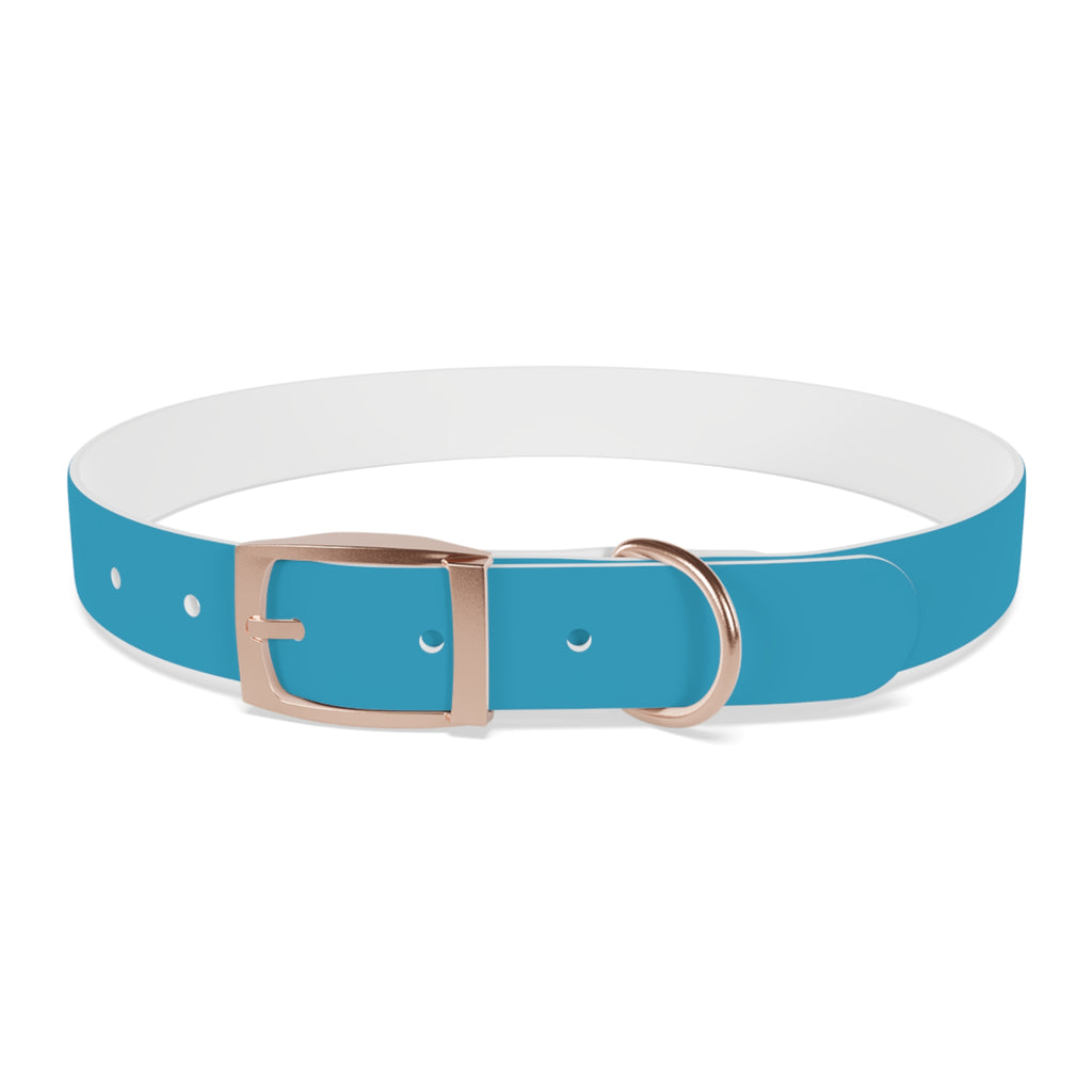Blue Custom Dog Collar with Texas Livestock Association Logo