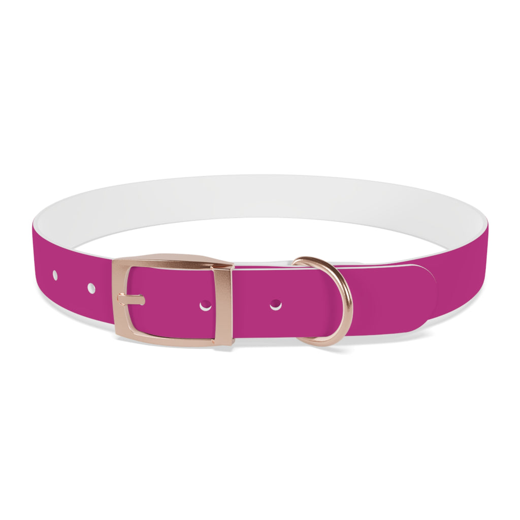 Pink Leather Dog Collar — Texas Livestock Show Logo