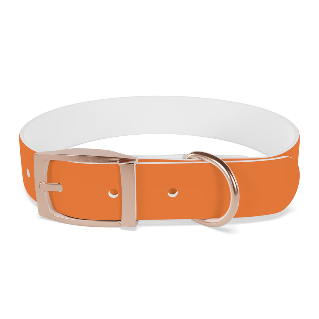 Orange Logo Dog Collar — Texas Livestock Club Pet Collar