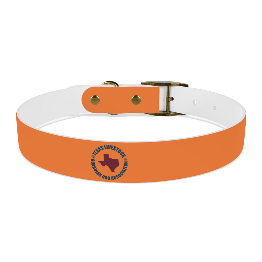 Orange Logo Dog Collar — Texas Livestock Club Pet Collar