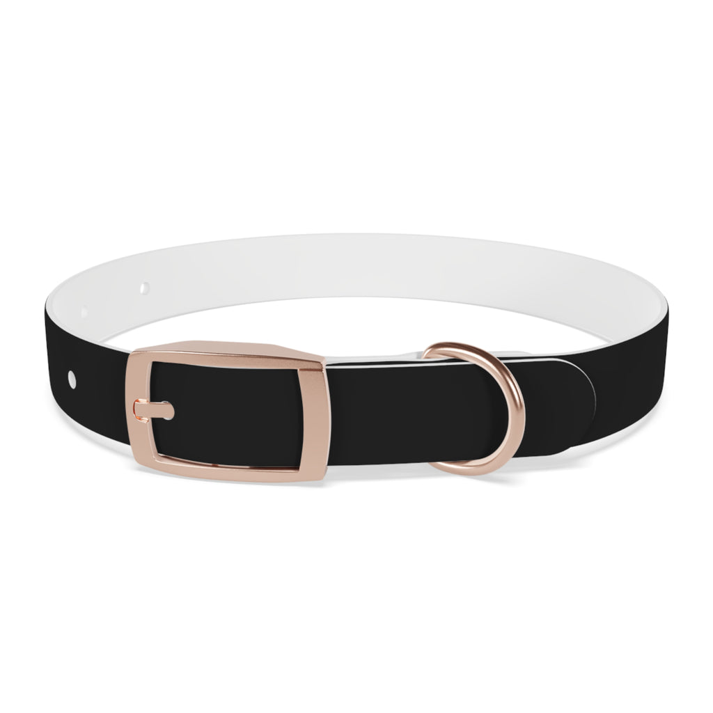 Black Leather Dog Collar — Durable Everyday Collar with Metal Buckle