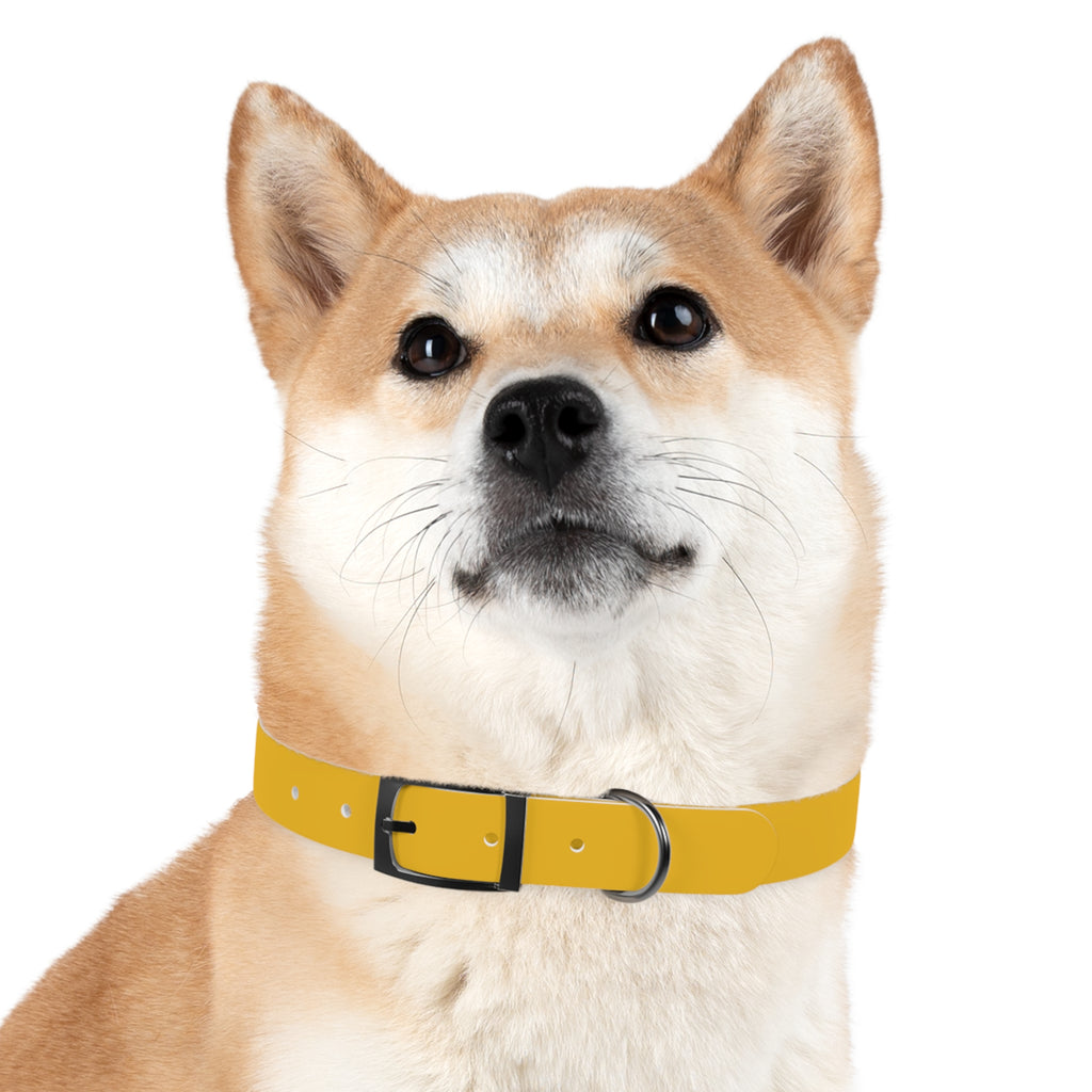 Yellow Customizable Dog Collar — Texas Livestock Association Logo Option