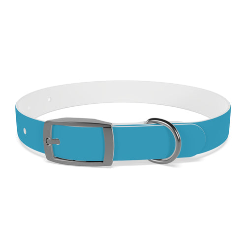 Blue Custom Dog Collar with Texas Livestock Association Logo