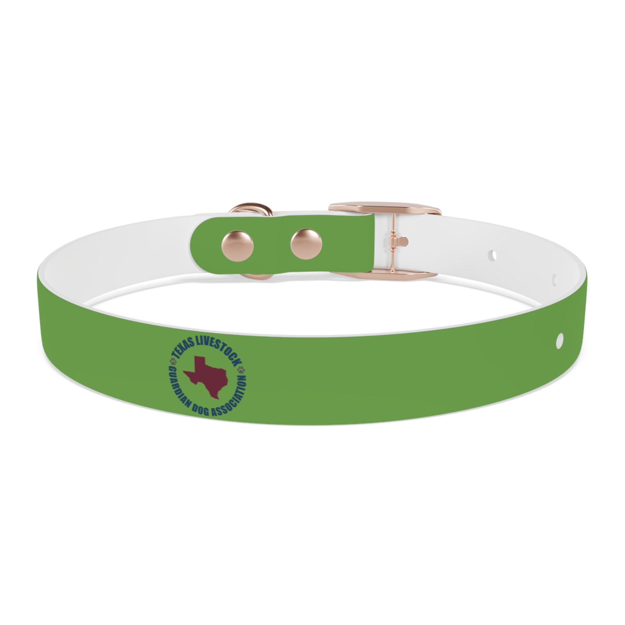 Dog Collar