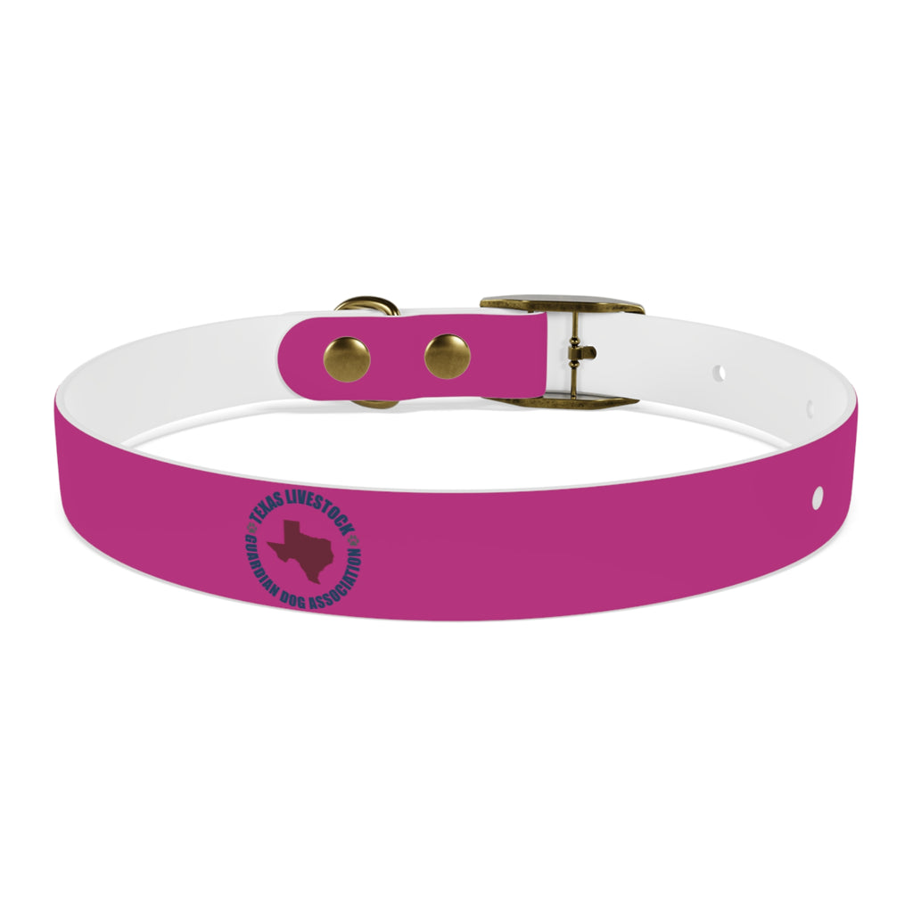 Pink Leather Dog Collar — Texas Livestock Show Logo