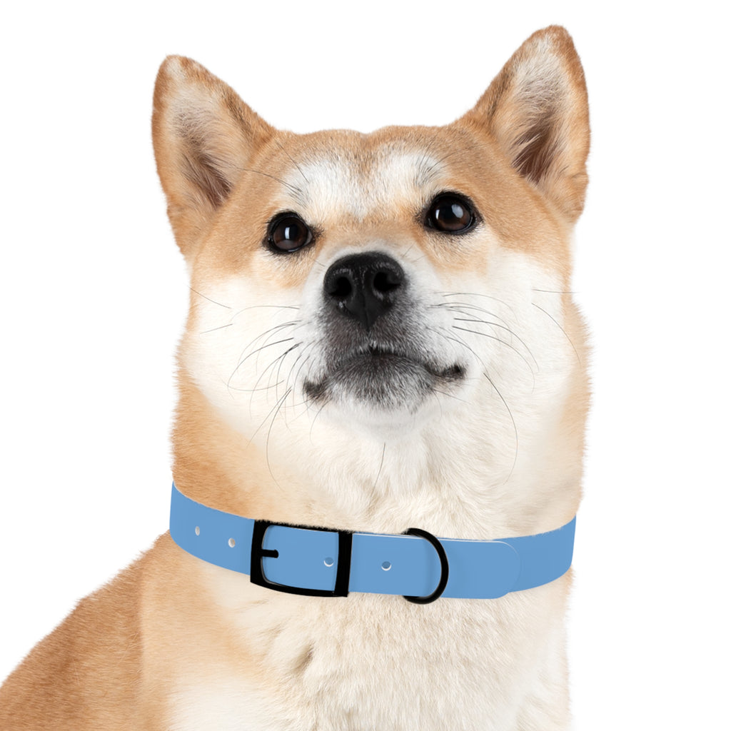 Blue State Silhouette Dog Collar — Texas Livestock Design