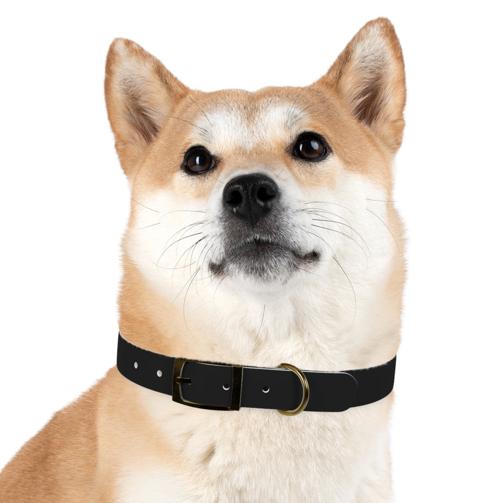 Black Leather Dog Collar — Durable Everyday Collar with Metal Buckle