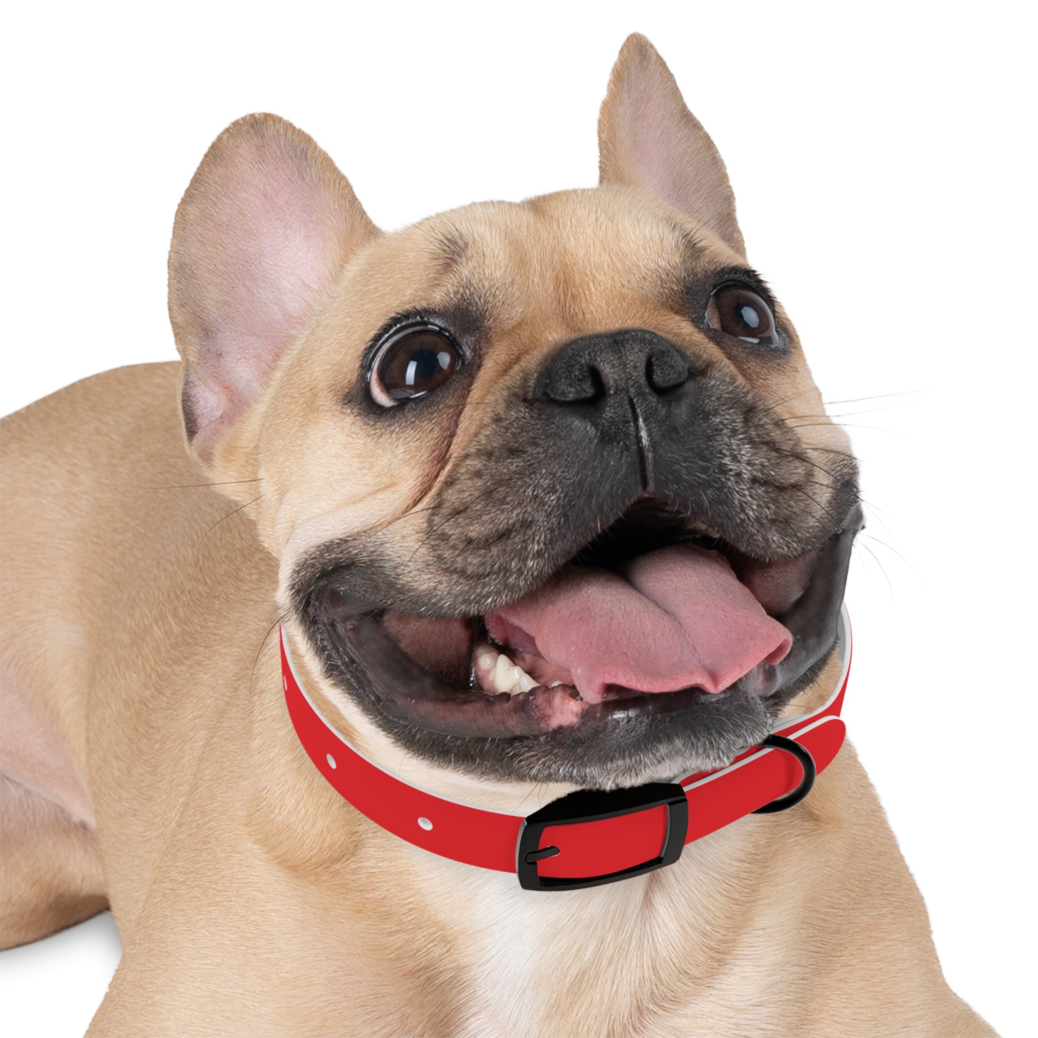 Red Personalized Dog Collar with Texas Logo — Durable Adjustable Pet Collar