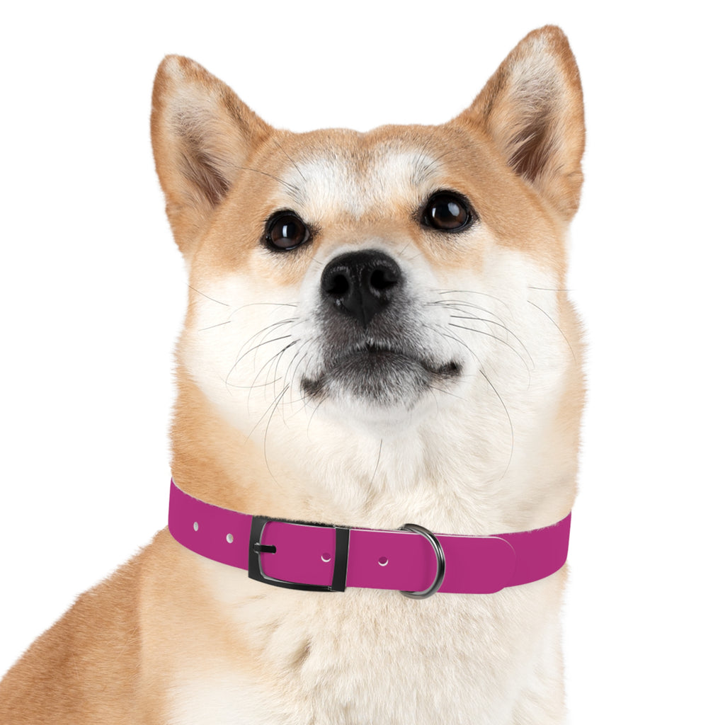 Pink Leather Dog Collar — Texas Livestock Show Logo