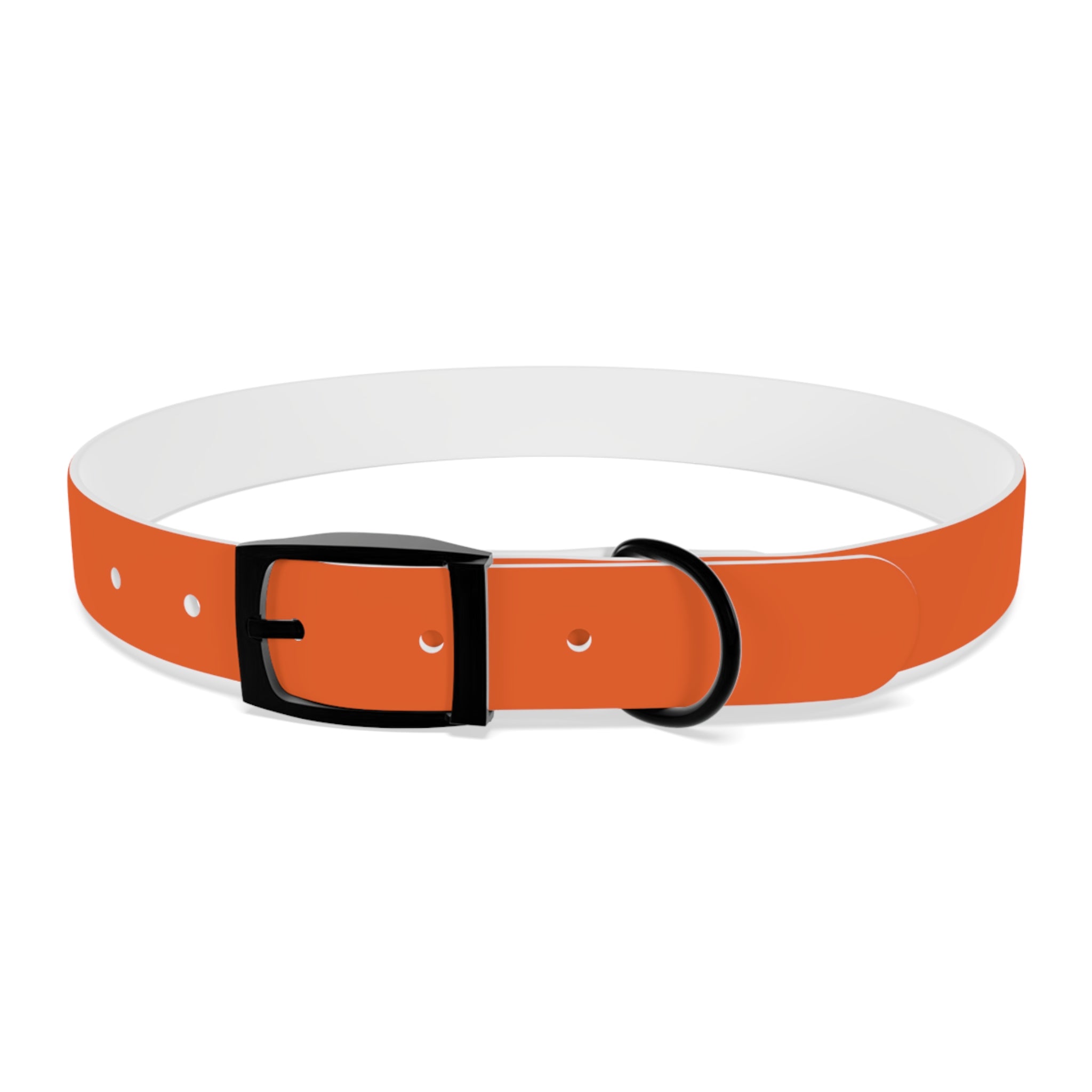 Orange Leather Dog Collar — Texas Livestock Logo