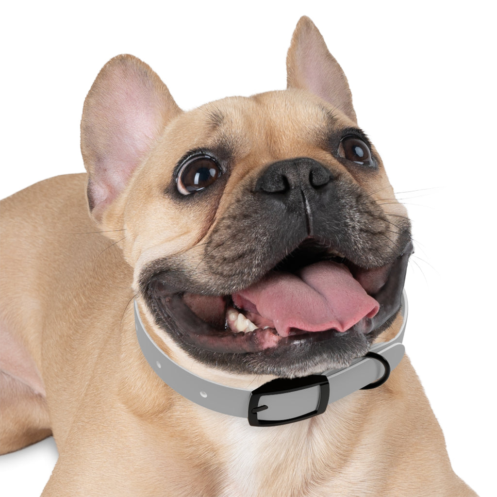 Customized White Dog Collar with Texas Livestock Association Logo