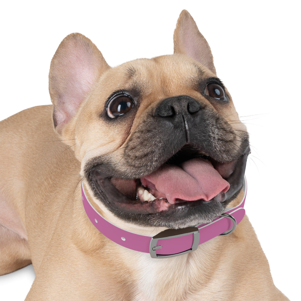 Pink Texas Livestock Association Dog Collar — Adjustable Pet Collar