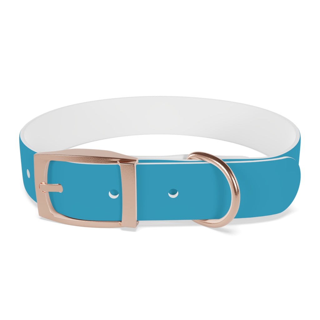 Blue Custom Dog Collar with Texas Livestock Association Logo
