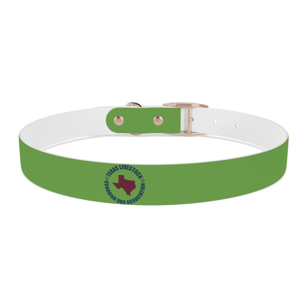 Dog Collar