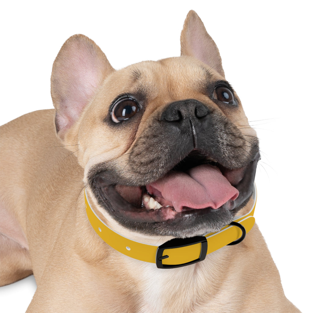 Yellow Customizable Dog Collar — Texas Livestock Association Logo Option