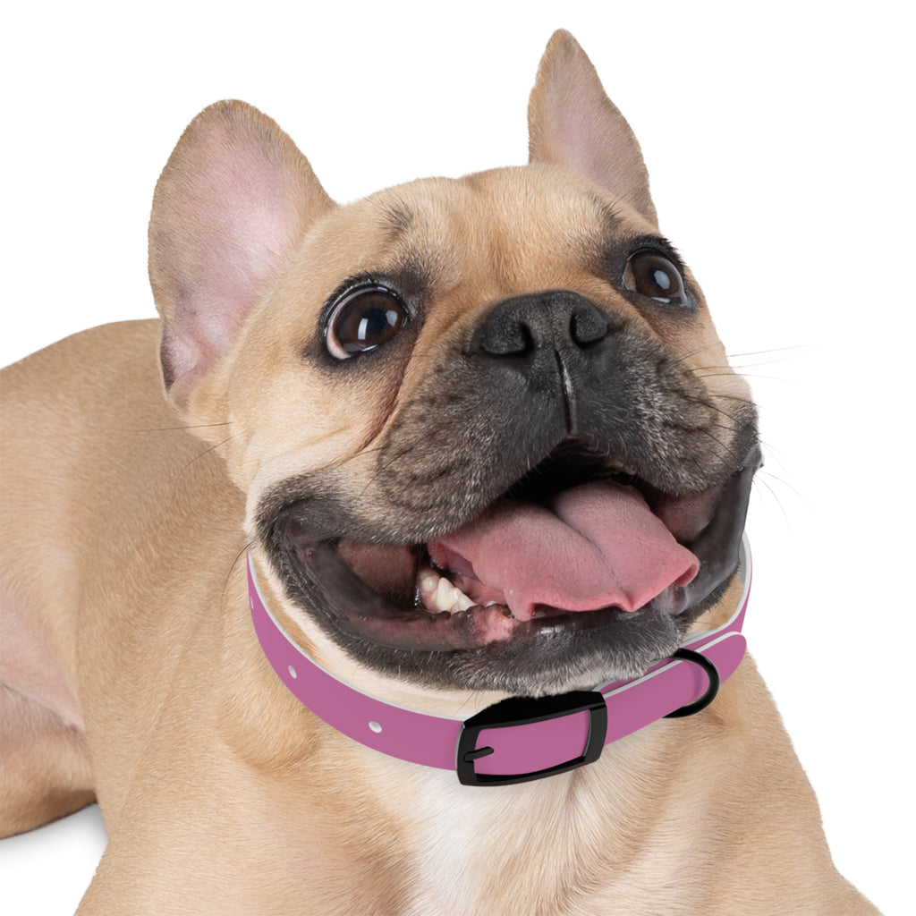 Pink Texas Livestock Association Dog Collar — Adjustable Pet Collar