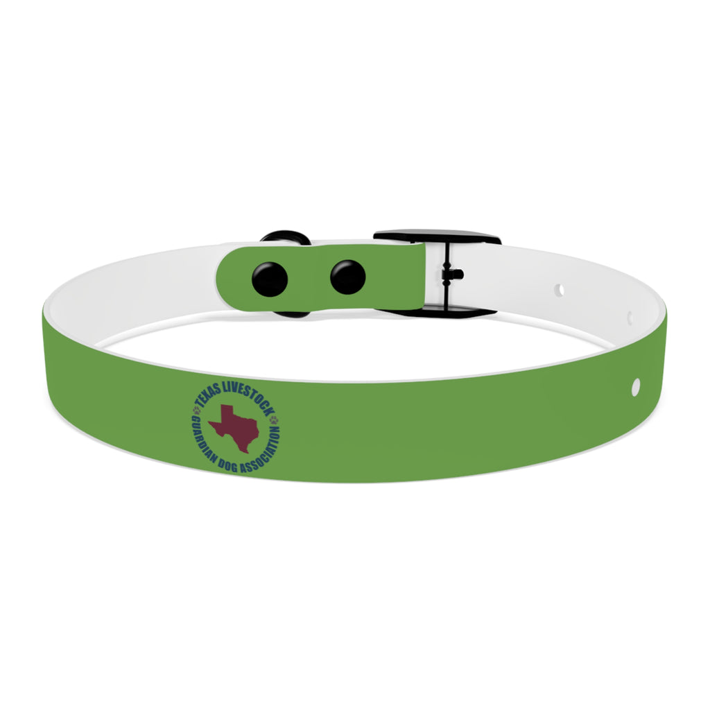 Dog Collar