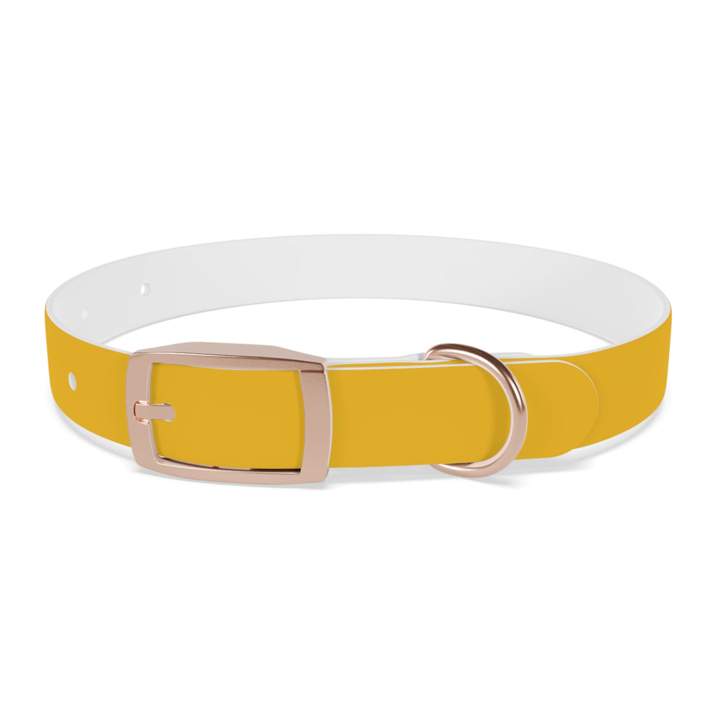 Yellow Customizable Dog Collar — Texas Livestock Association Logo Option