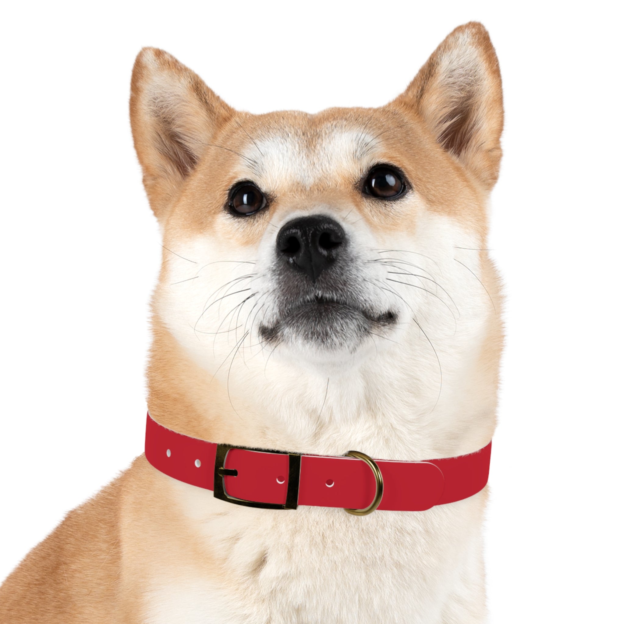 Red Pet Collar with Texas Logo — Durable Adjustable Dog Collar