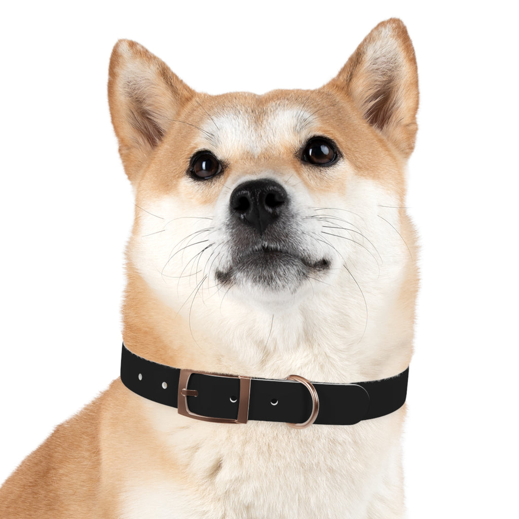 Black Leather Dog Collar — Durable Everyday Collar with Metal Buckle
