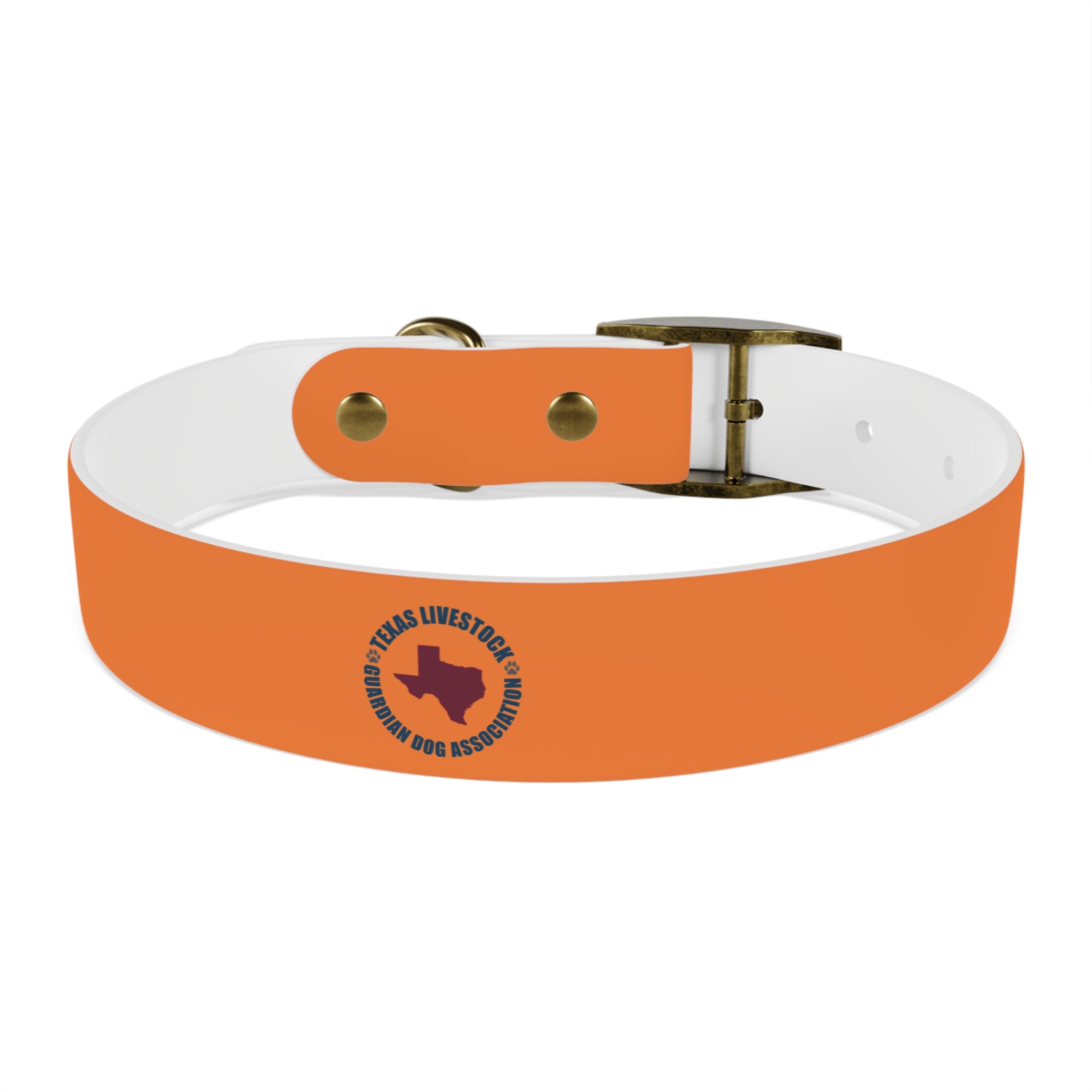 Orange Logo Dog Collar — Texas Livestock Club Pet Collar