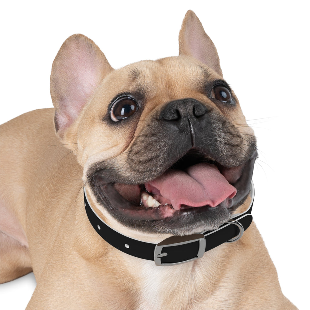 Black Leather Dog Collar — Durable Everyday Collar with Metal Buckle