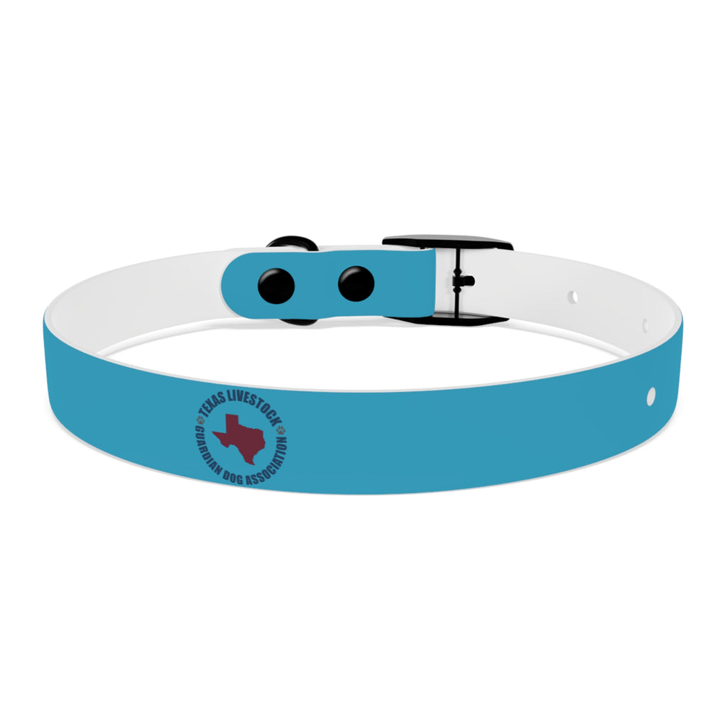 Blue Custom Dog Collar with Texas Livestock Association Logo