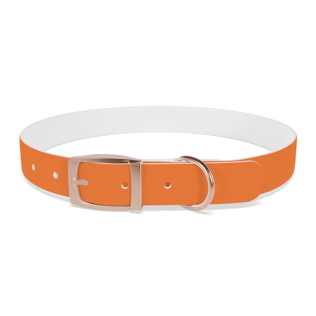 Orange Logo Dog Collar — Texas Livestock Club Pet Collar