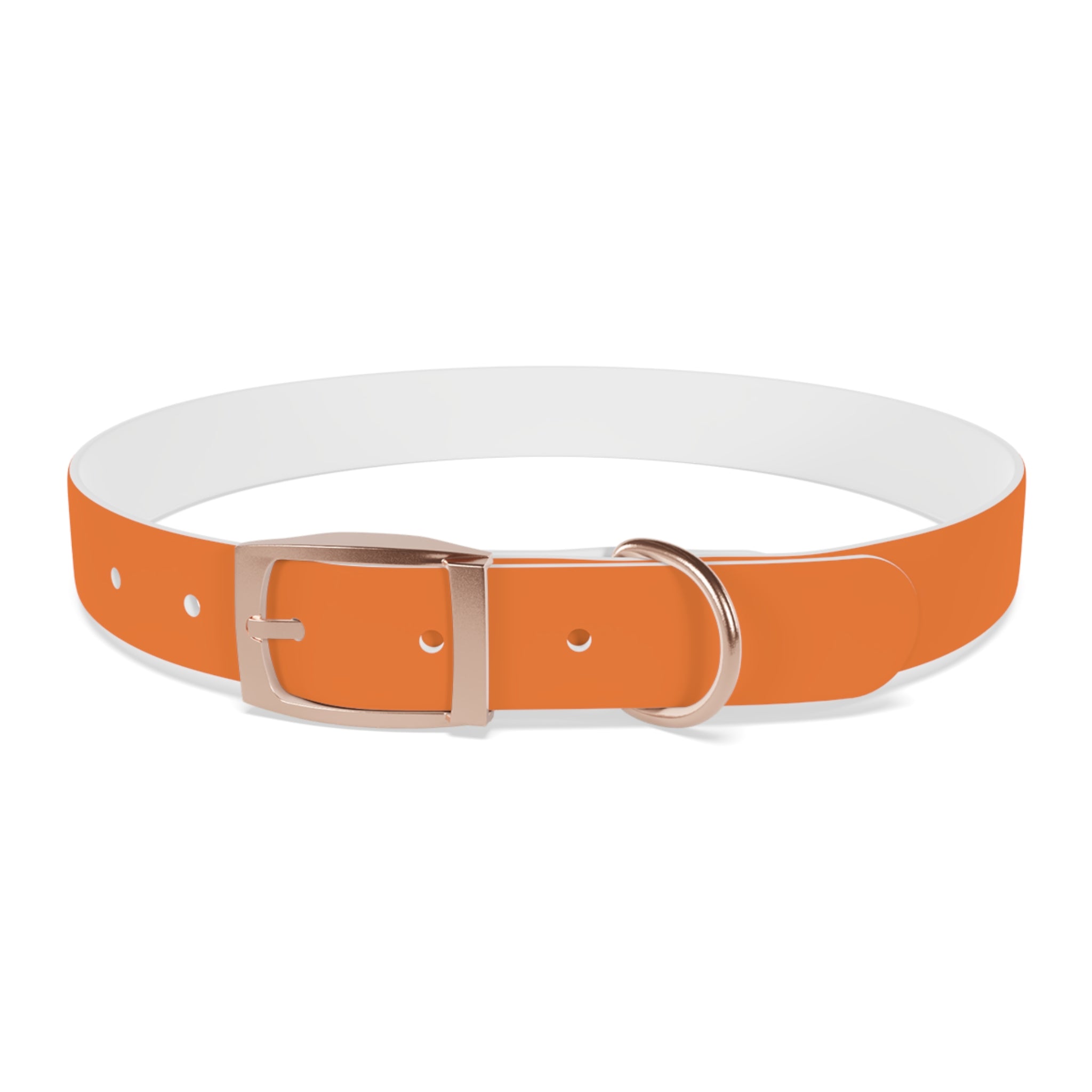 Orange Logo Dog Collar — Texas Livestock Club Pet Collar
