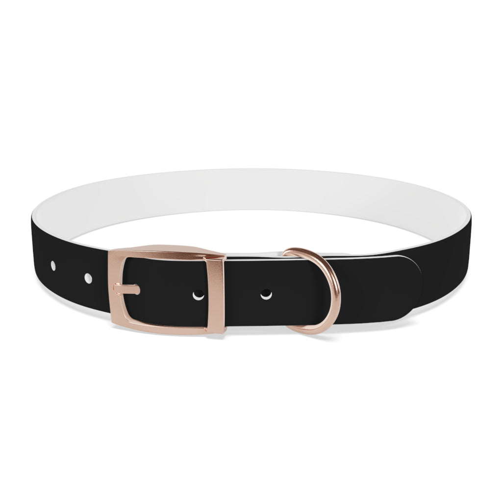 Black Leather Dog Collar — Durable Everyday Collar with Metal Buckle