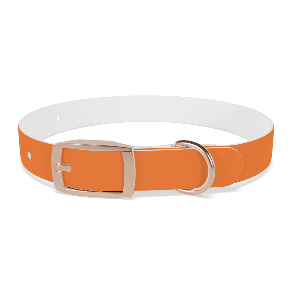 Orange Logo Dog Collar — Texas Livestock Club Pet Collar