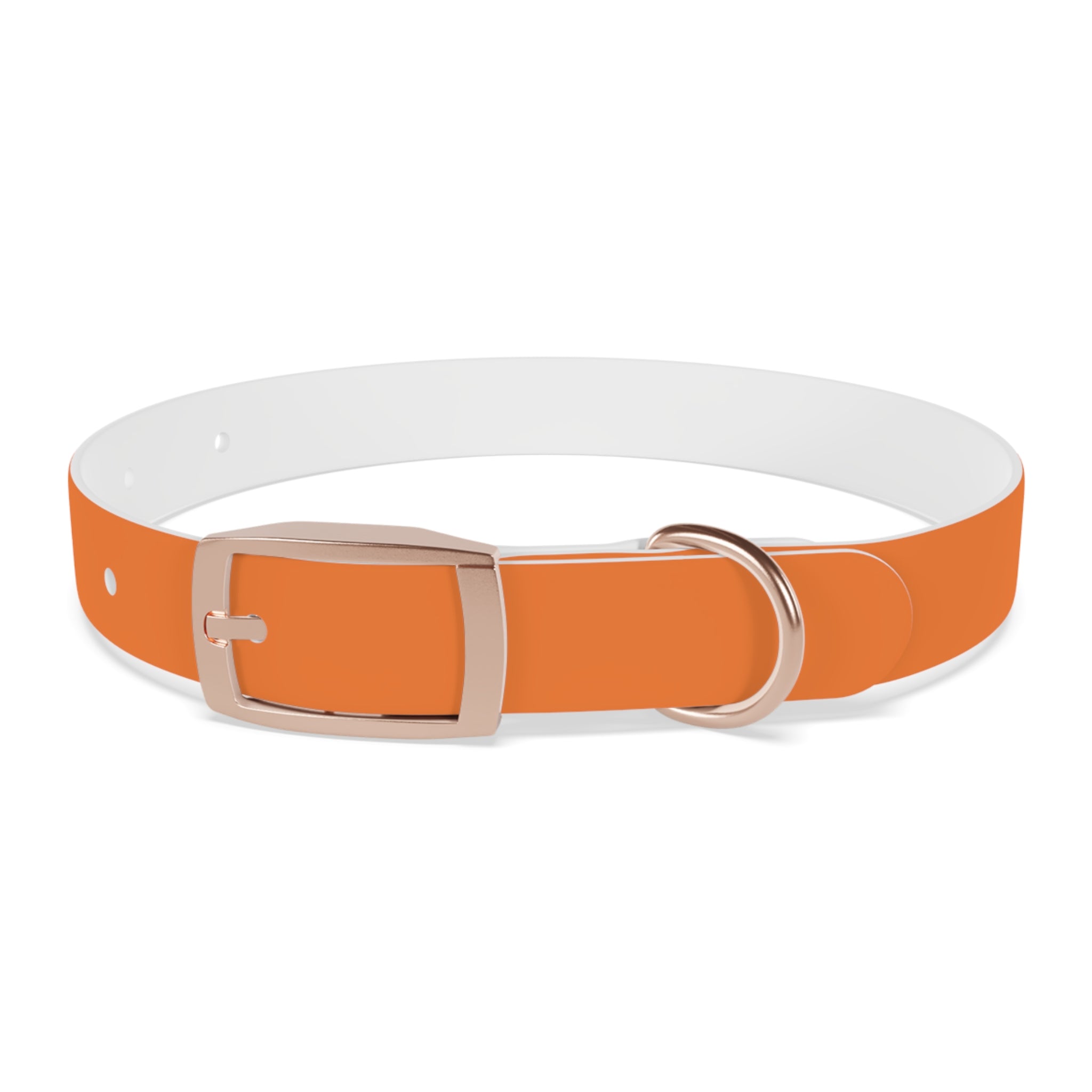 Orange Logo Dog Collar — Texas Livestock Club Pet Collar