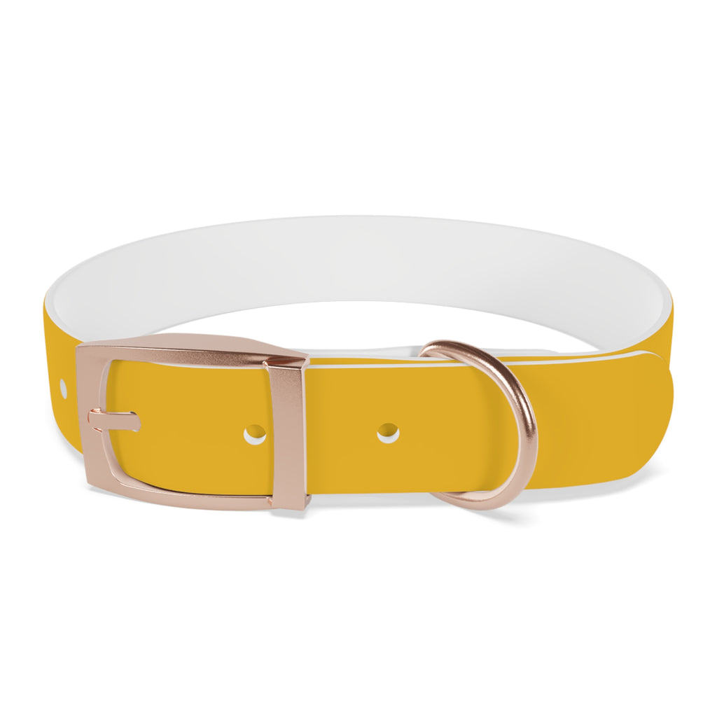 Yellow Customizable Dog Collar — Texas Livestock Association Logo Option
