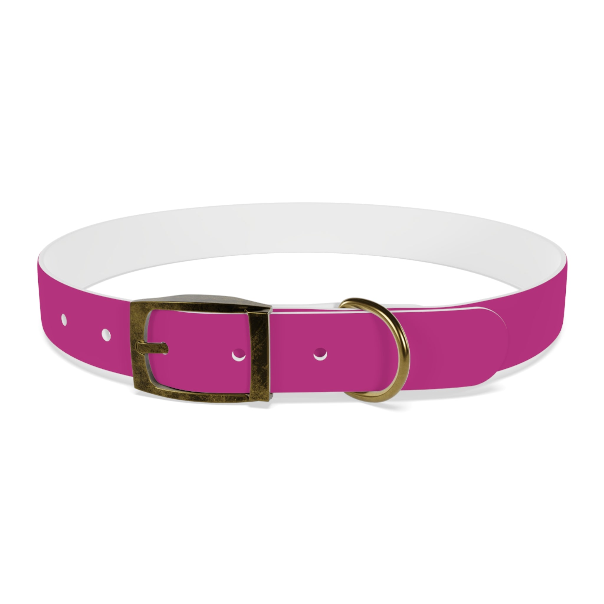 Pink Leather Dog Collar — Texas Livestock Show Logo