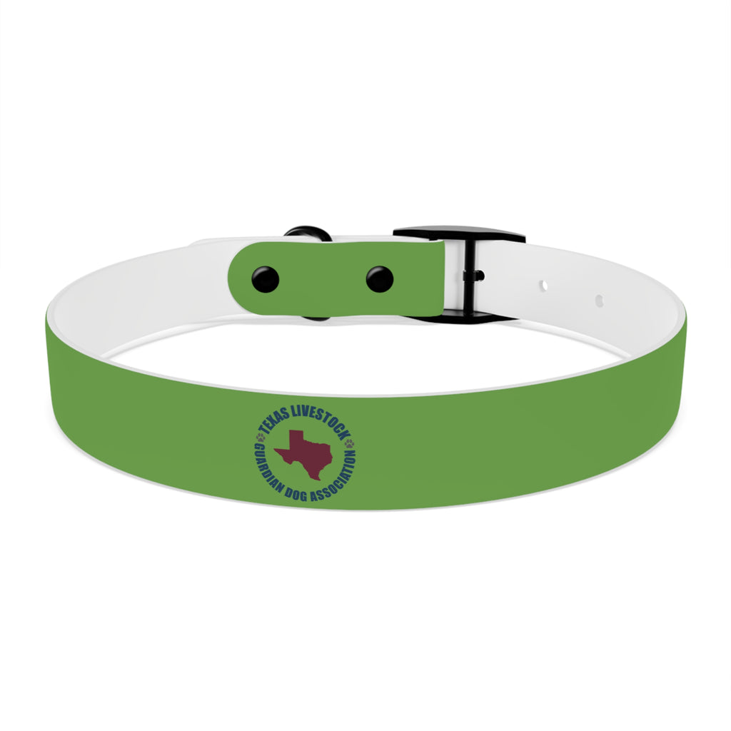 Dog Collar
