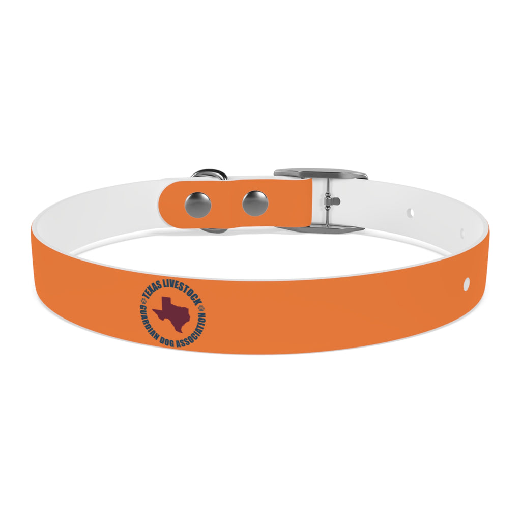 Orange Logo Dog Collar — Texas Livestock Club Pet Collar