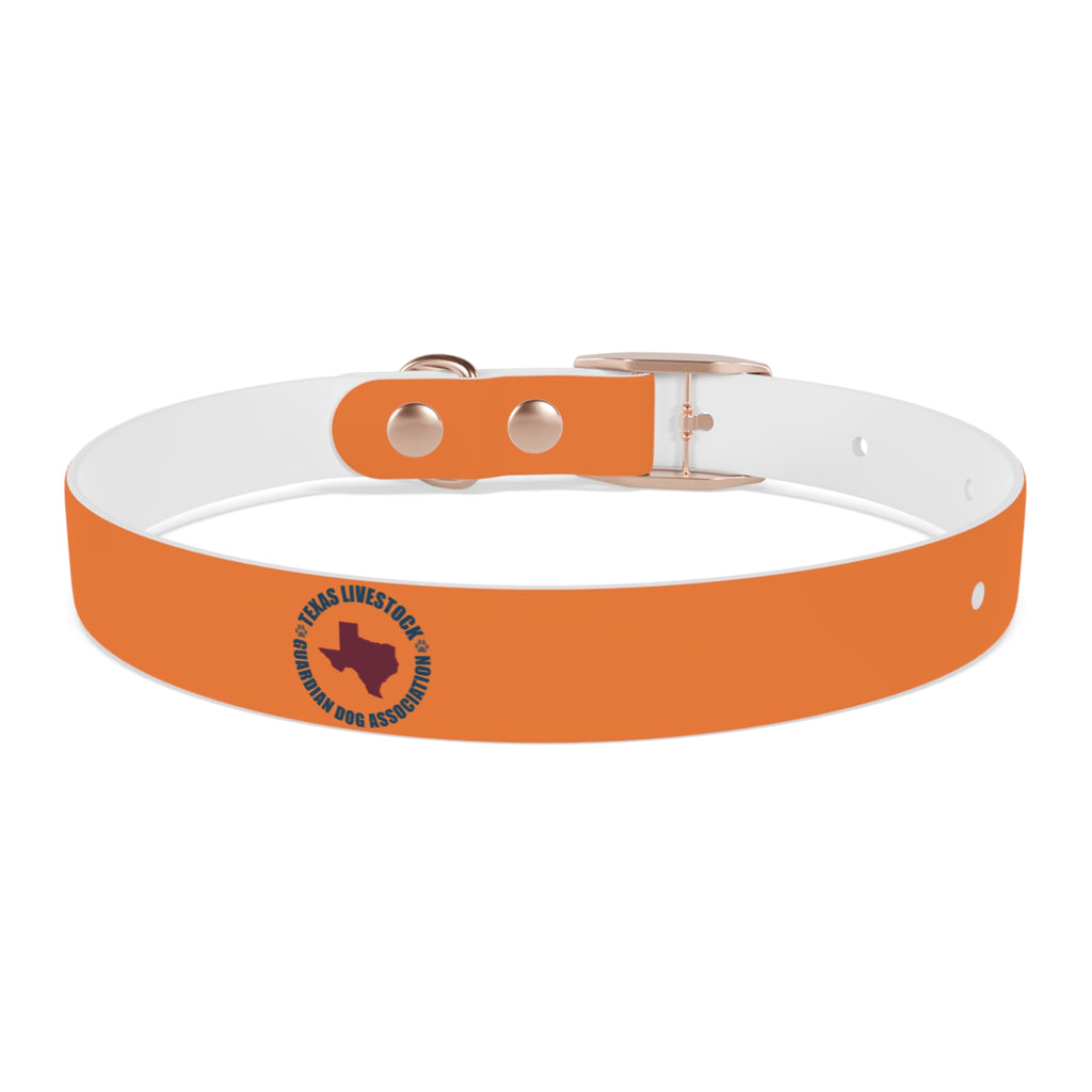 Orange Logo Dog Collar — Texas Livestock Club Pet Collar